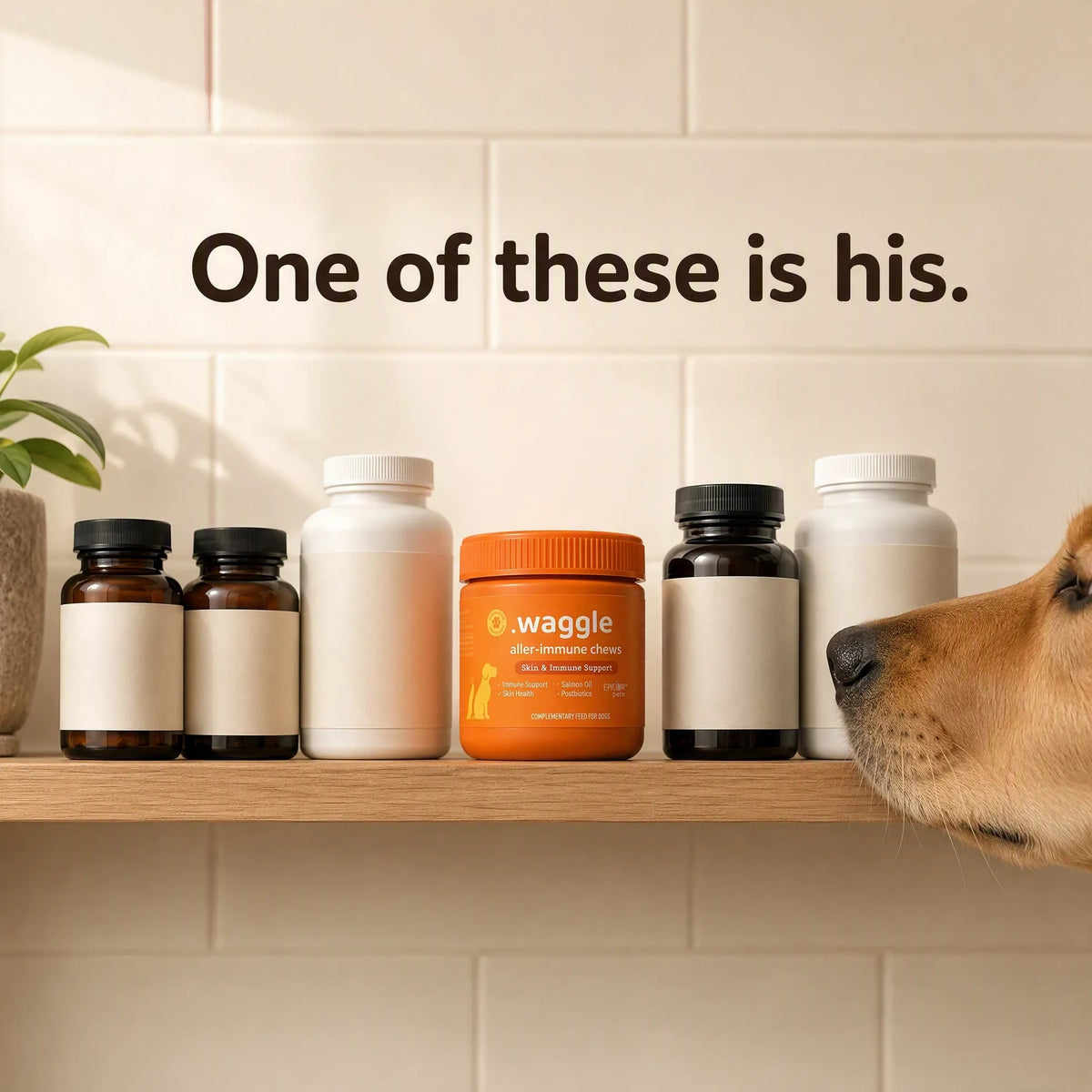 Waggle™ Aller-Immune Soft Chews