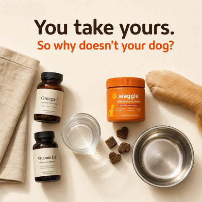 Waggle™ Aller-Immune Soft Chews